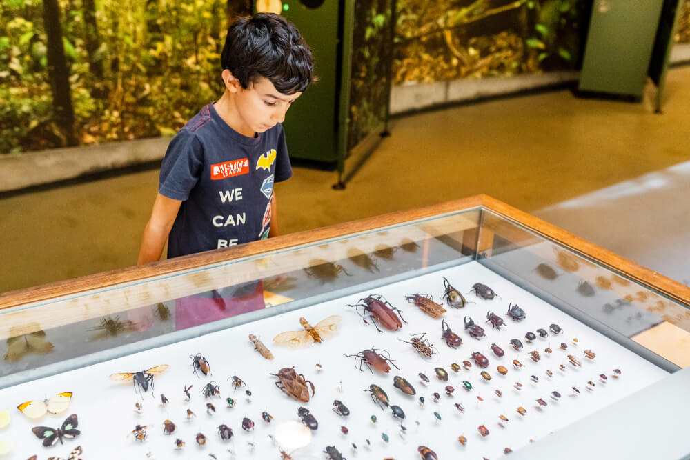 museos para niños