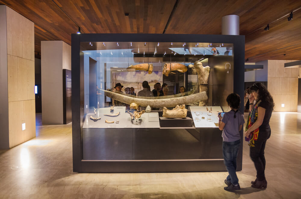 museos para niños madrid