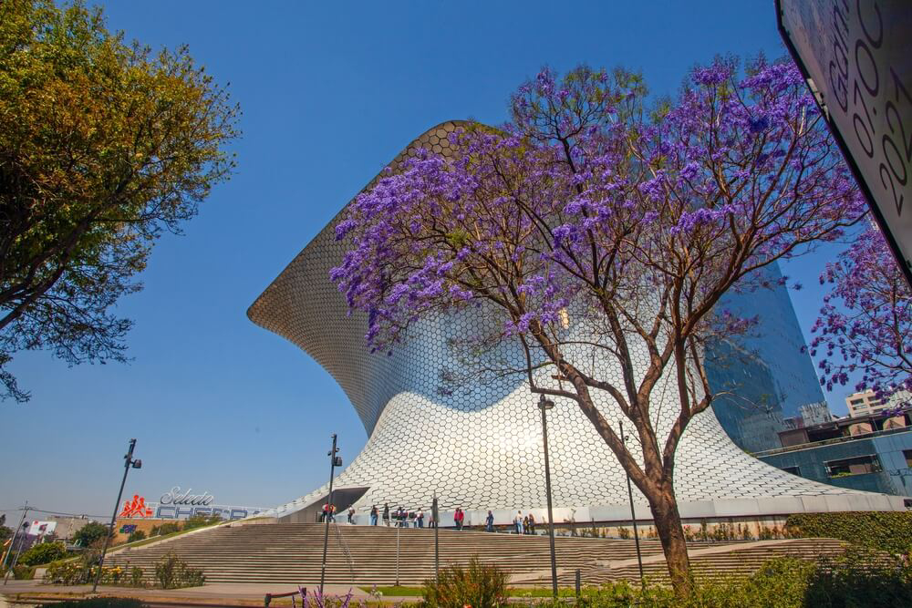 Add the Soumaya to your list of museums in Mexico City to visit