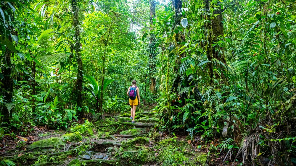 A woman walks through the lush forests of Braulio Carrillo National Park.