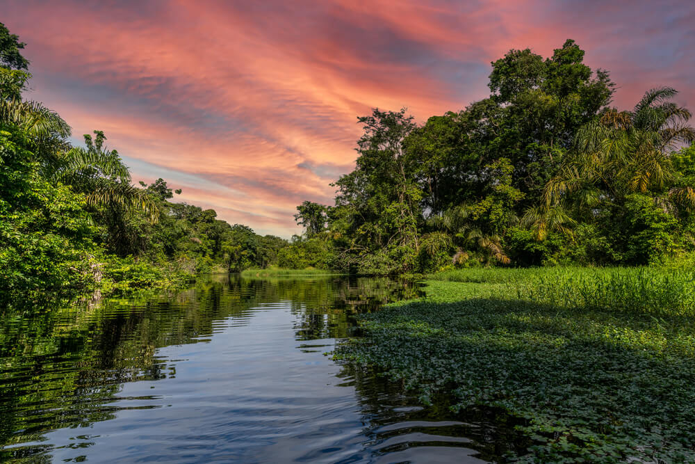 A river at Tortuguero National Park with a pink sunset sky.
