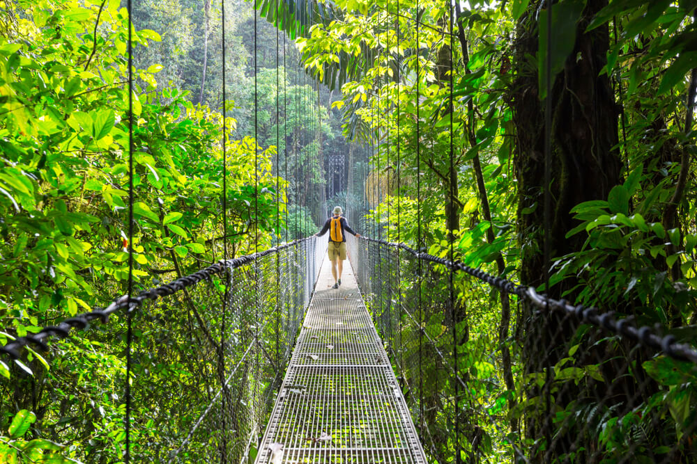 A traveller traverses a bridge suspended high in the Costa Rican jungle