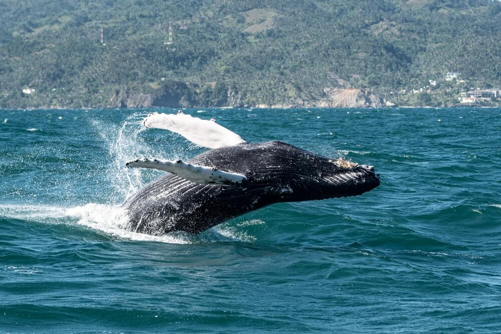 Parque Nacional de Los Haitises