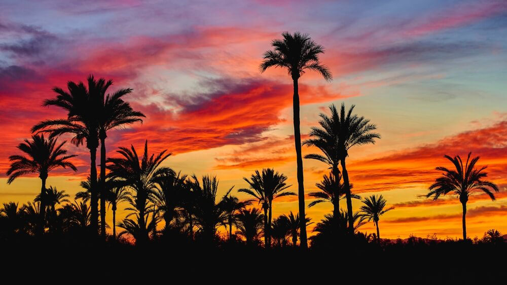 planes murcia