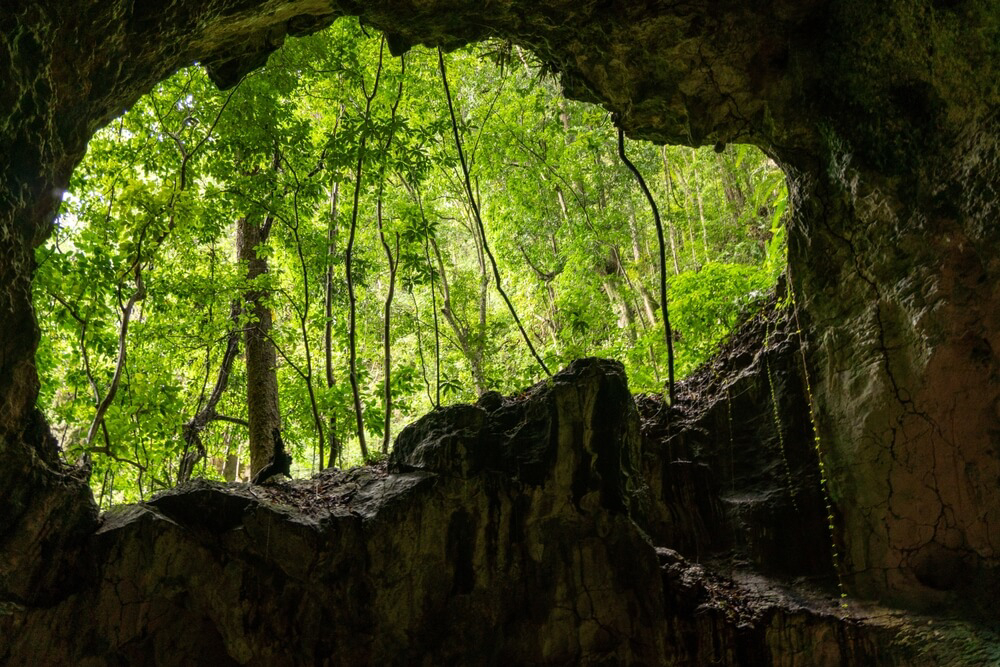 Blick aus einer Höhle in den Urwald im Nationalpark Los Haitises, Dominikanische Republik