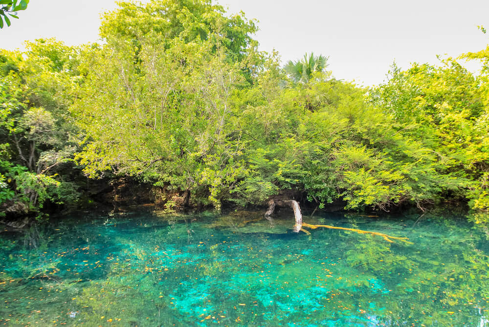 Cenote im Ökologischen Reservat Ojos Indígenas in Punta Cana