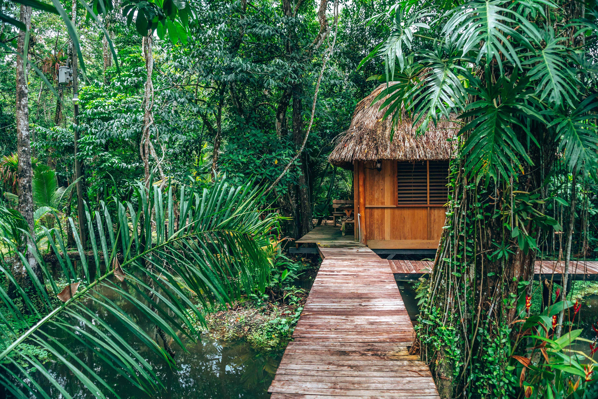 Urlaub in Guatemala: kleiner Bungalow im Urwald.