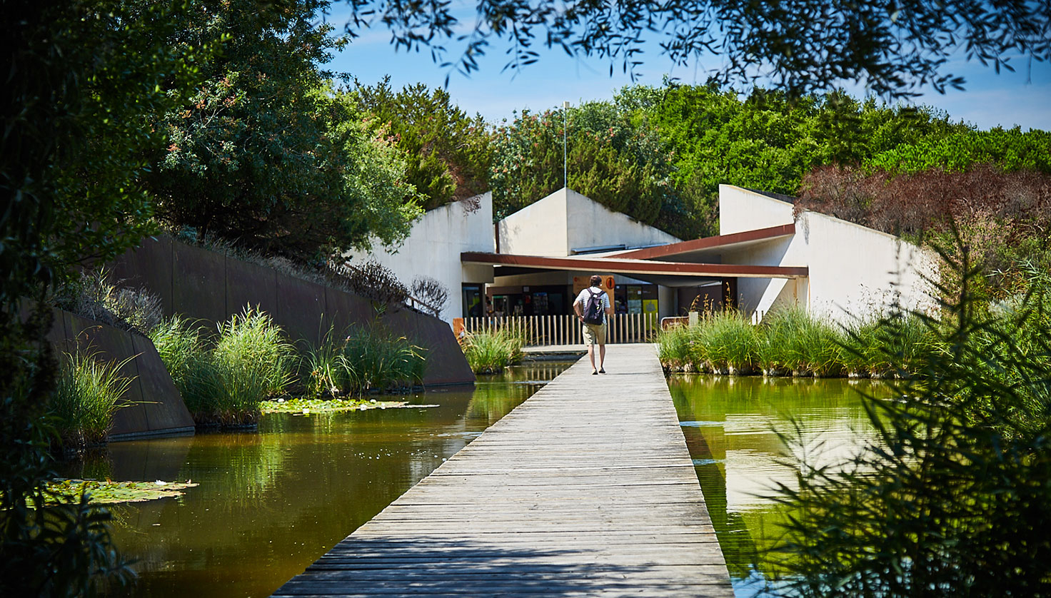A man strolls a wooden walkway across a tree-lined pond at Barcelona Botanical Garden