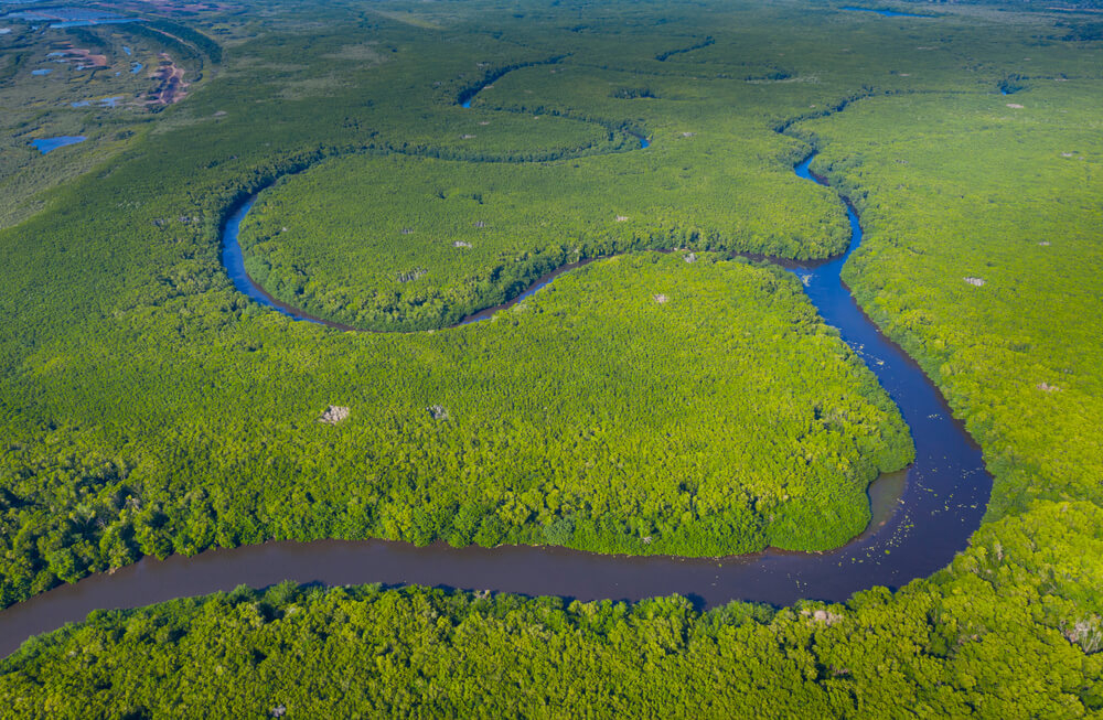 The mangrove forest is one of the best places to visit in Nayarit