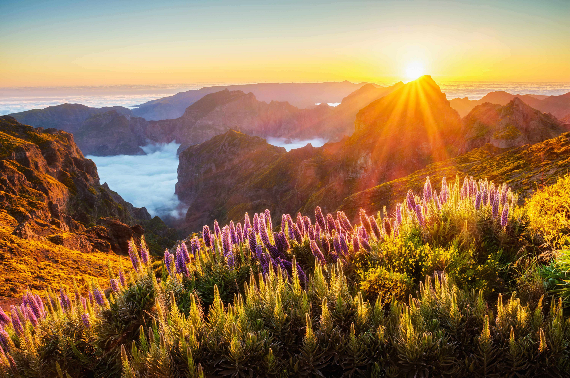 rutas senderismo madeira