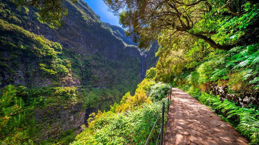 rutas senderismo madeira