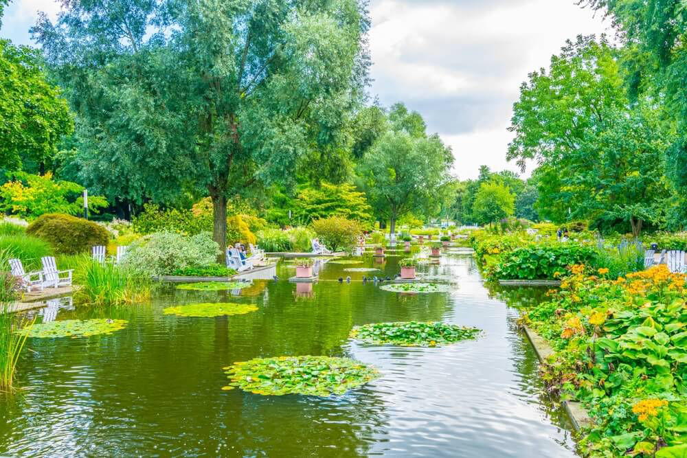 Aktivitäten in Hamburg: Bänke am Seerosenteich in Planten un Blomen.