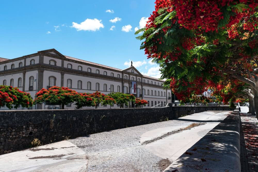 Museum für Natur und Archäologie in Santa Cruz, der Hauptstadt Teneriffas