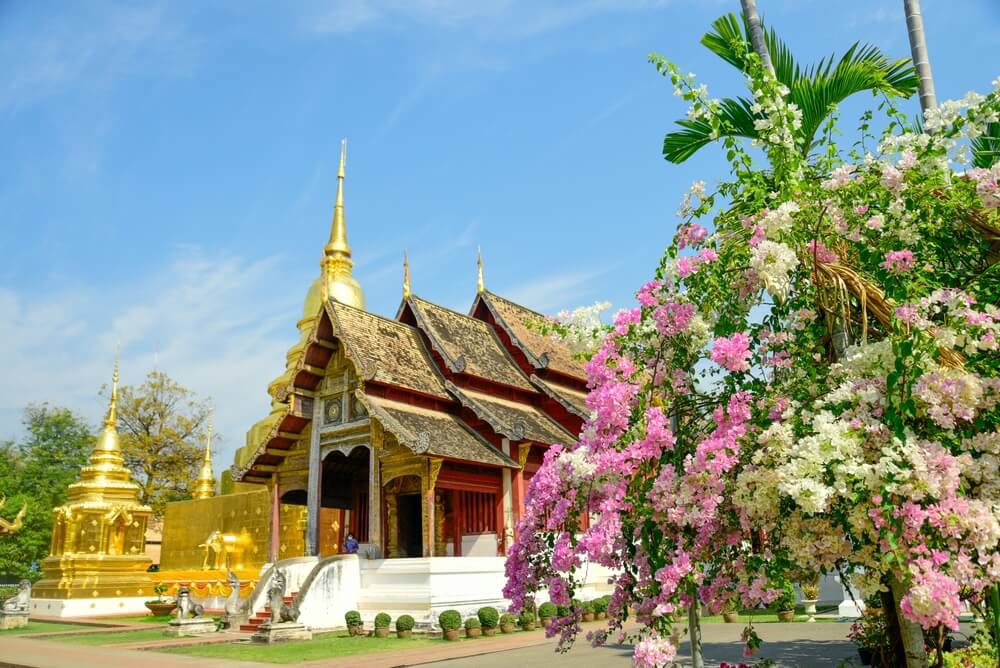 Die Tempelanlage von Wat Phra Singh mit goldenen Pagoden.
