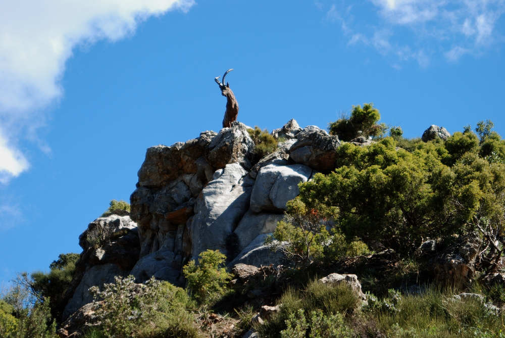 El Juanar, part of the Sierra de las Nieves reserve