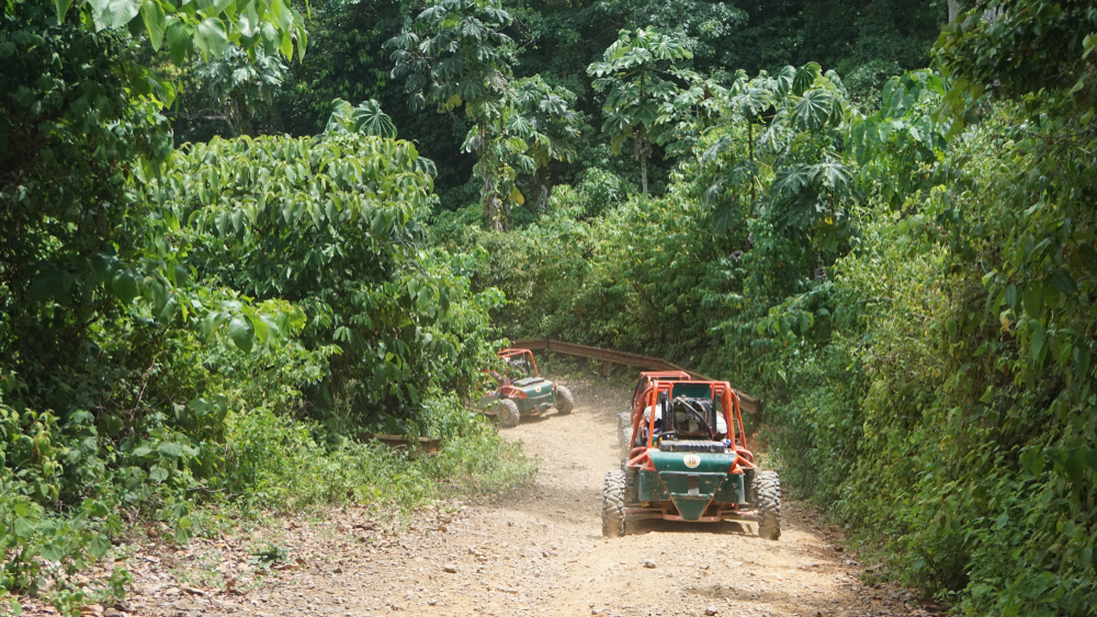 One of the top jungle things to do in the Riviera Maya is visit an adventure park