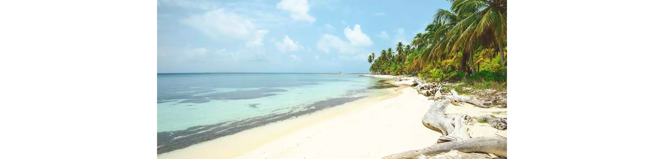 Vacanze isole caraibiche in paradisi naturali ancora cullati da pace e silenzio
