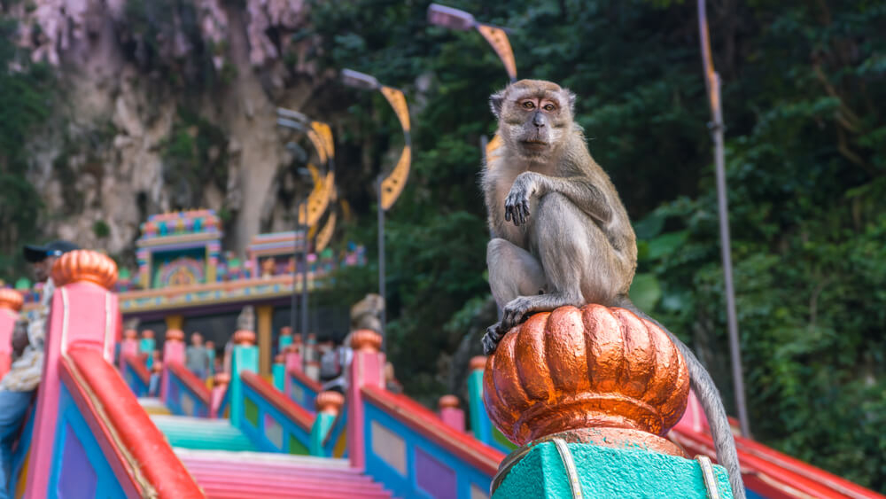 viajar a kuala lumpur