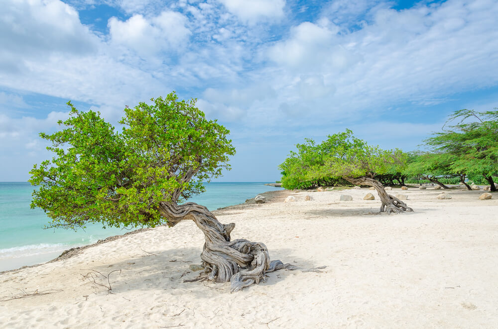 voyage à aruba plage