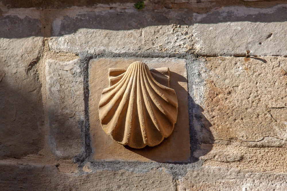 A stone scallop shell hangs on a sunlit wall