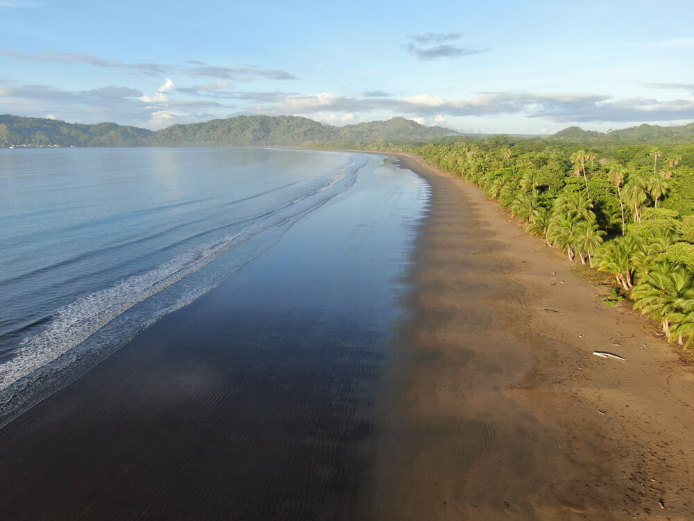 Üppiger Palmenwald am unberührten Strand von Tambor in Costa Rica.