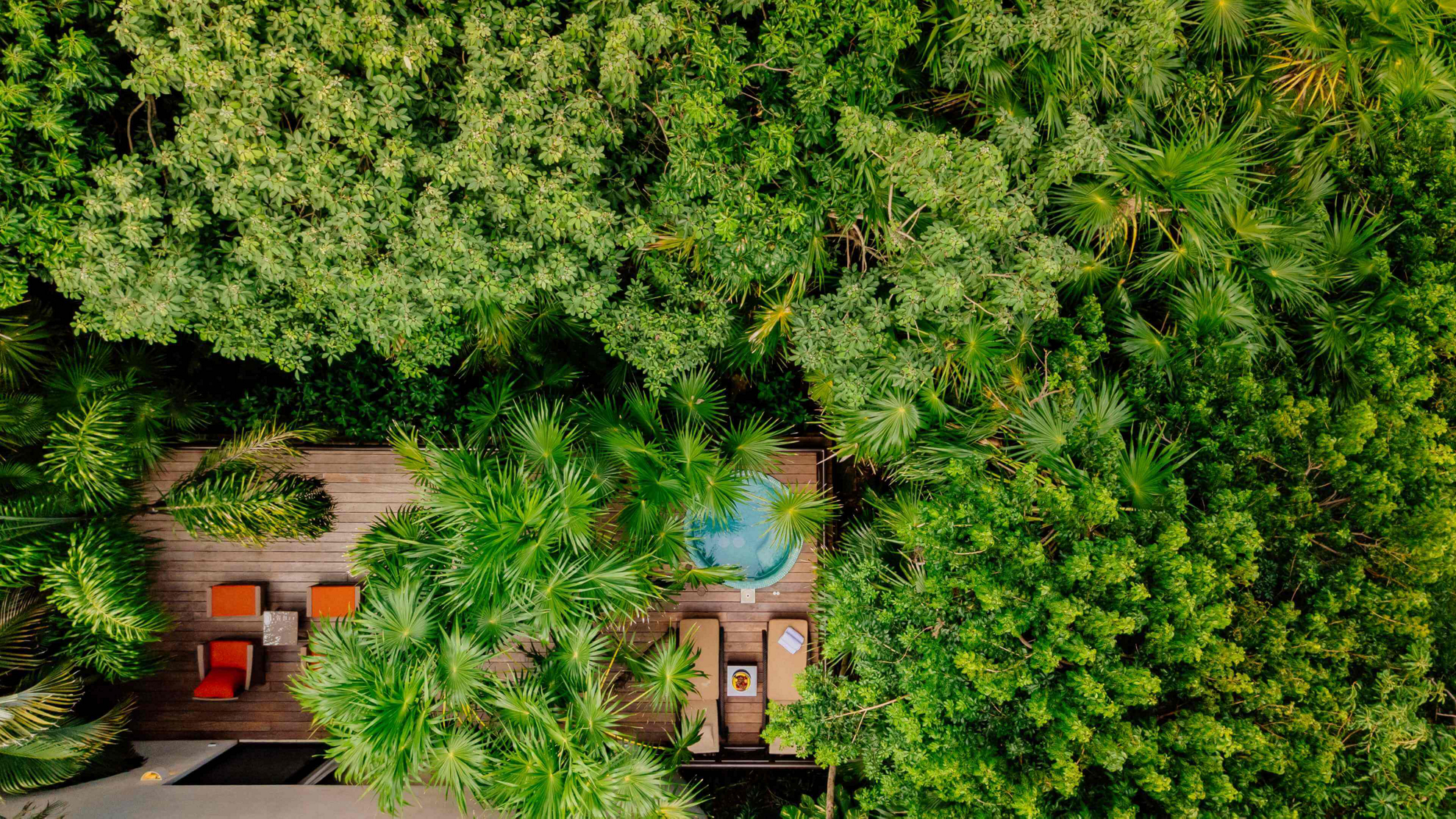 Save on your tropical beach vacation with Black Friday travel deals.