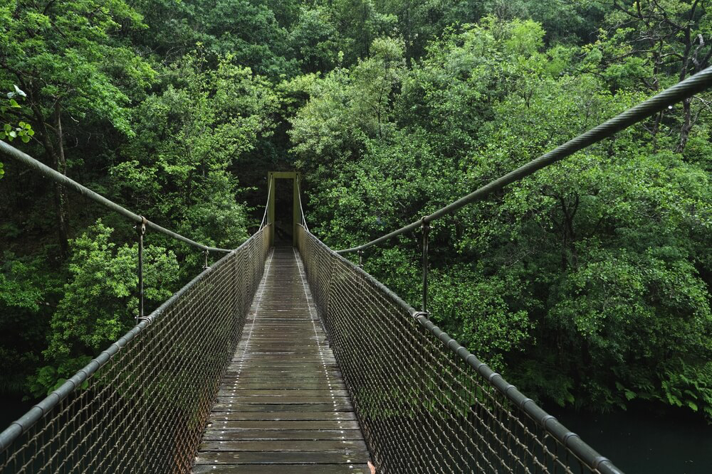 Parque natural Fragas do Eume bosques de españa