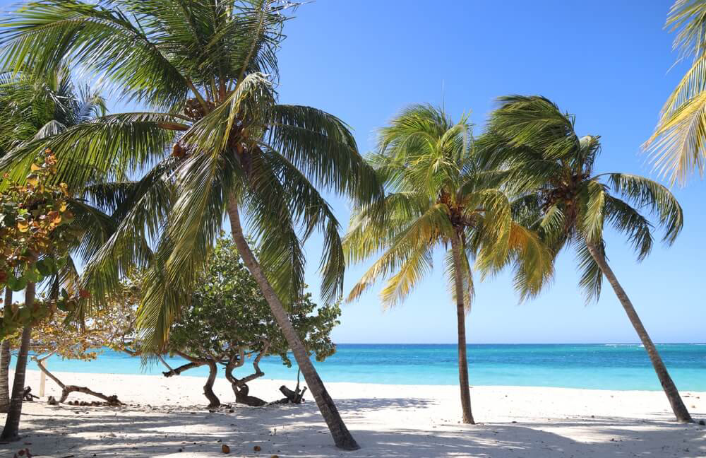 Grab your fins and goggles and check out one of the best snorkeling spots in Dominican Republic. 