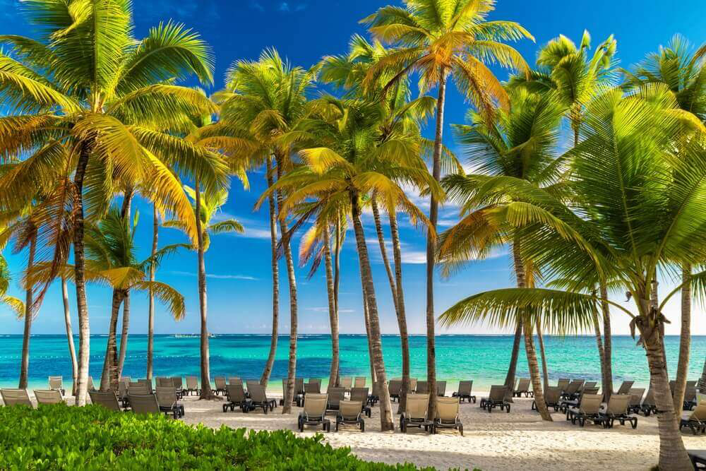 Blue Monday Holiday Deals: A white sand beach with palm trees and sun loungers