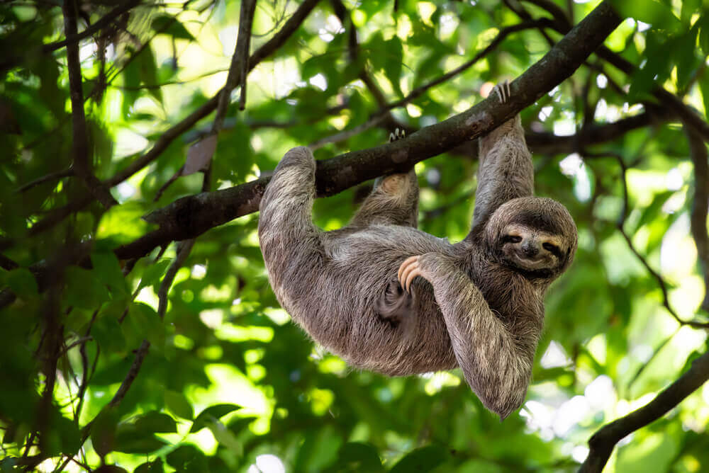 costa rica con niños