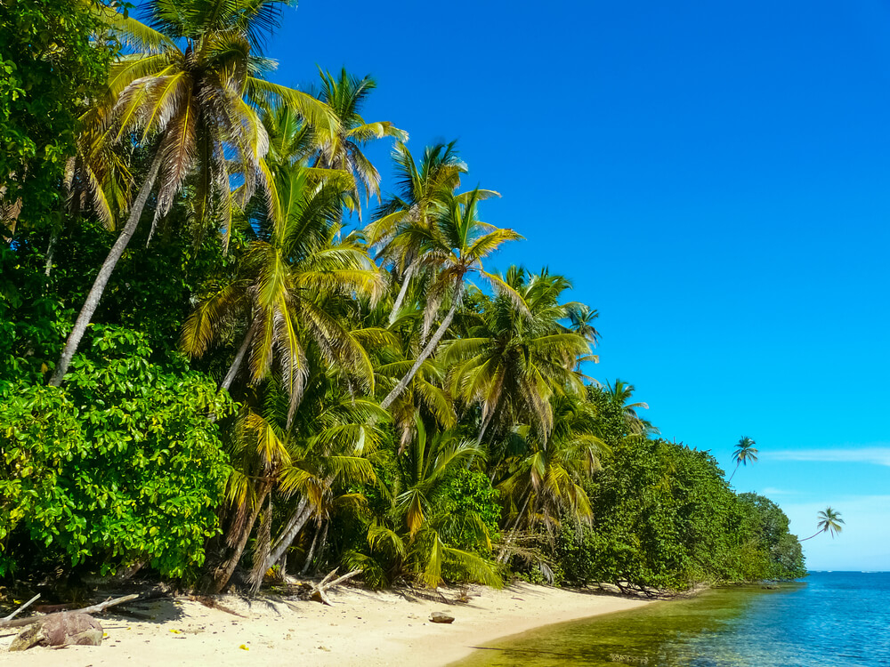 Tropenstrand mit weißem Sand und dichter Vegetation im Nationalpark Cahuita, Costa Rica.