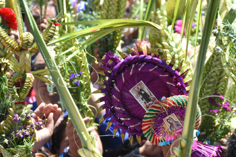 Close-up photo of palm leaves being waved in celebration of Palm Sunday in Mexico