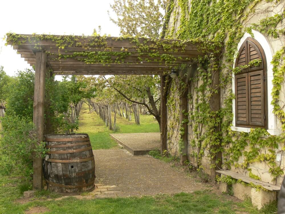 excursiones desde Budapest