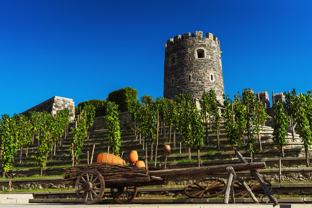 Vineyards: Traditional winery in Akhaltsikhe Georgia