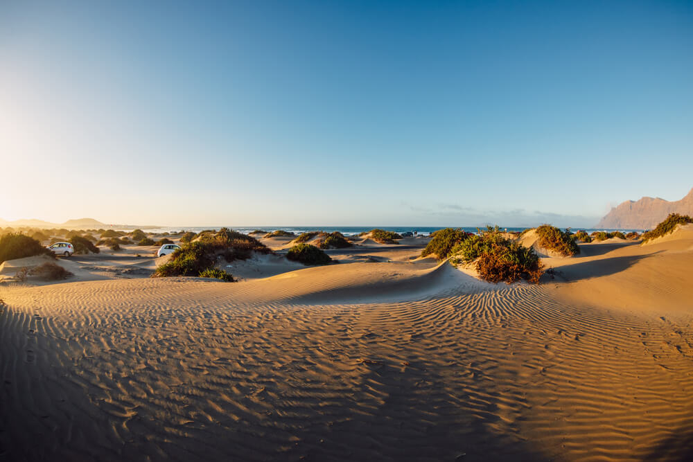 Schönste Strände Lanzarote: Dünen am Strand von Famara.