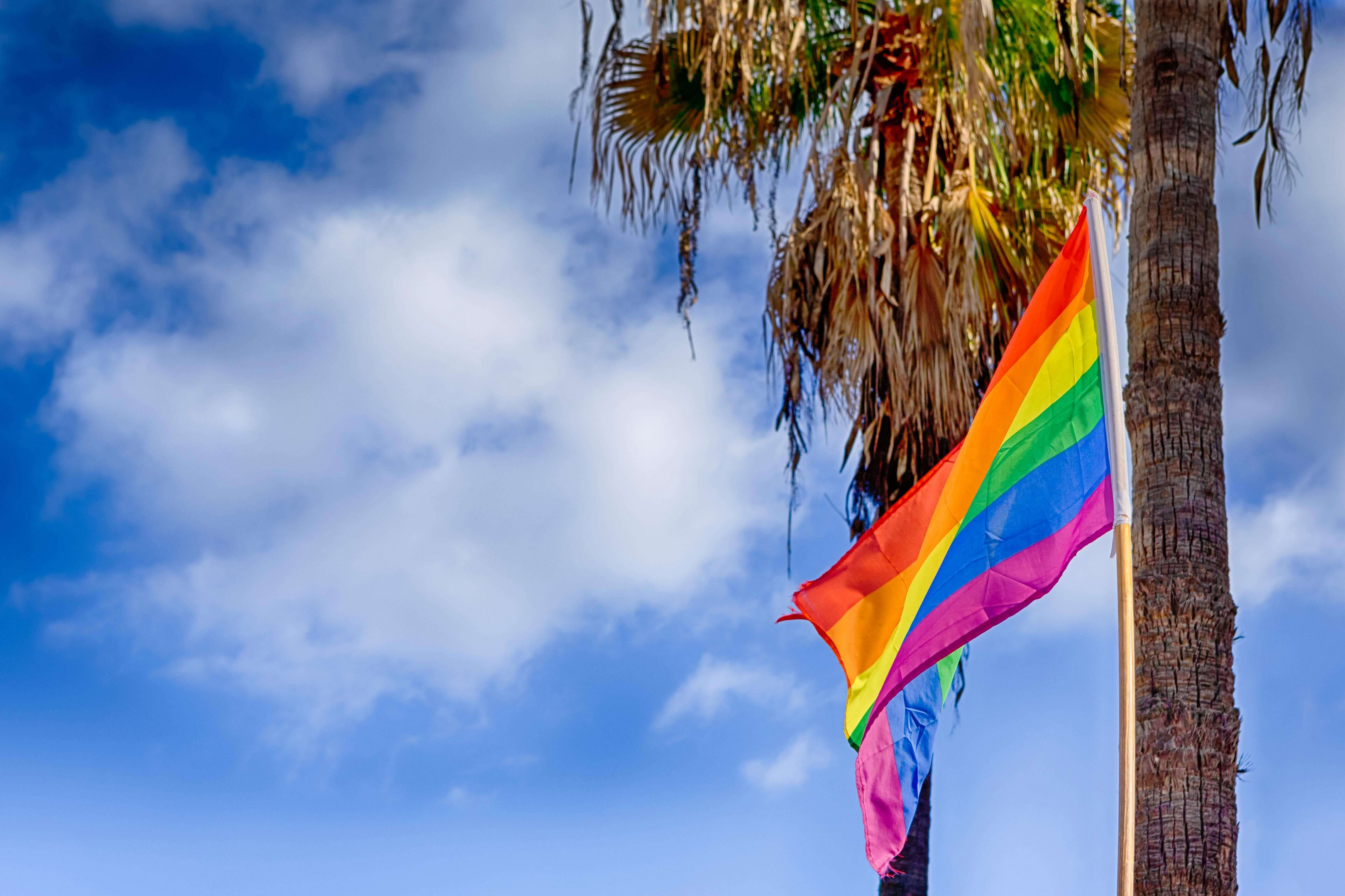 maspalomas gay