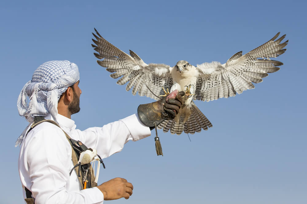 excursion desierto dubai 