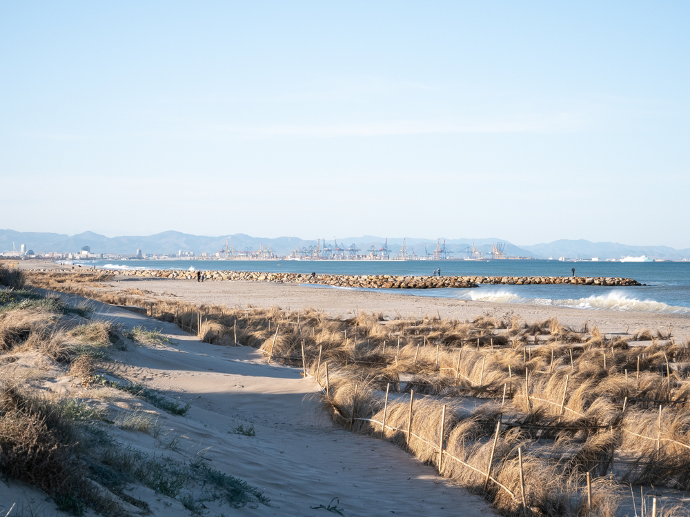 Tavernes de Valldigna beach dunes in Valencia of Spain