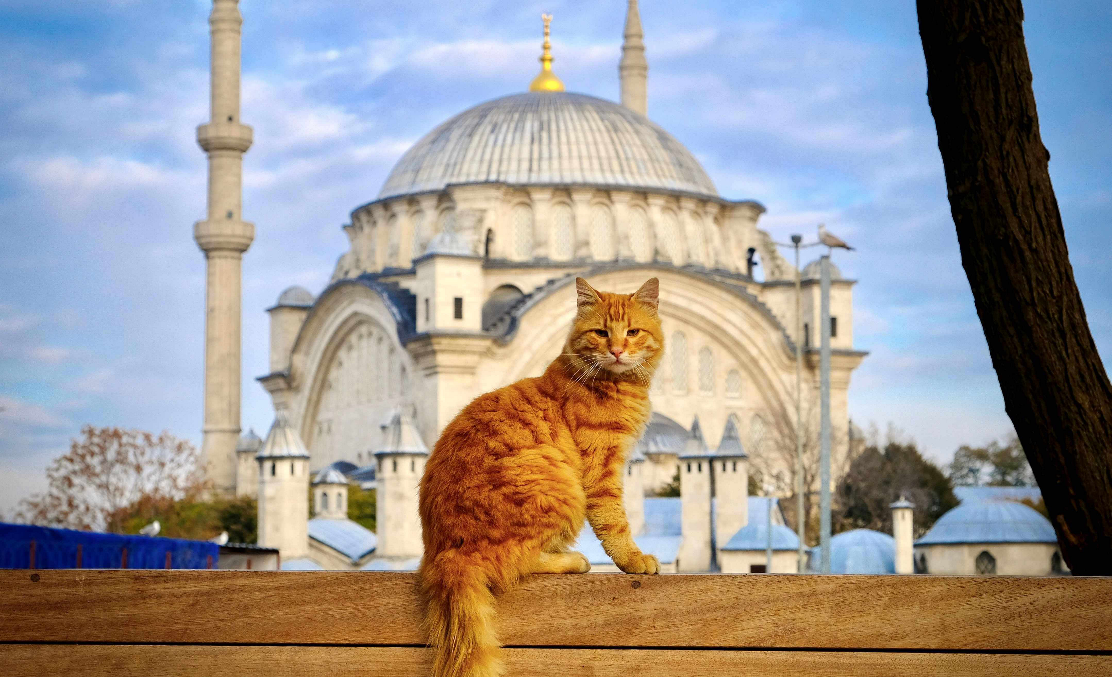 es seguro viajar a turquia