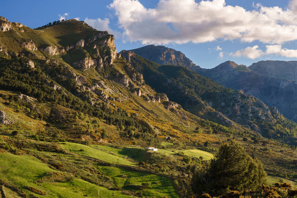 parques nacionales de españa