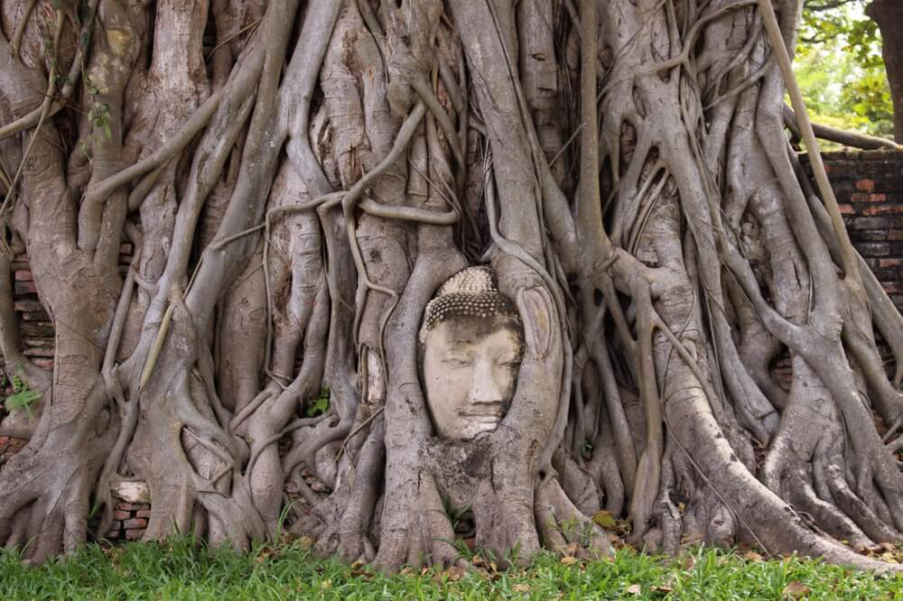 tailandia templos