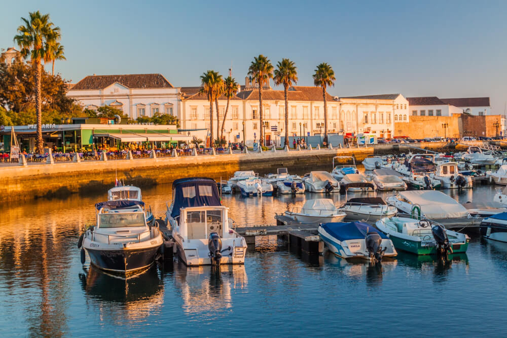 Marina: A harbour in Faro filled with boats with white buildings in the distance