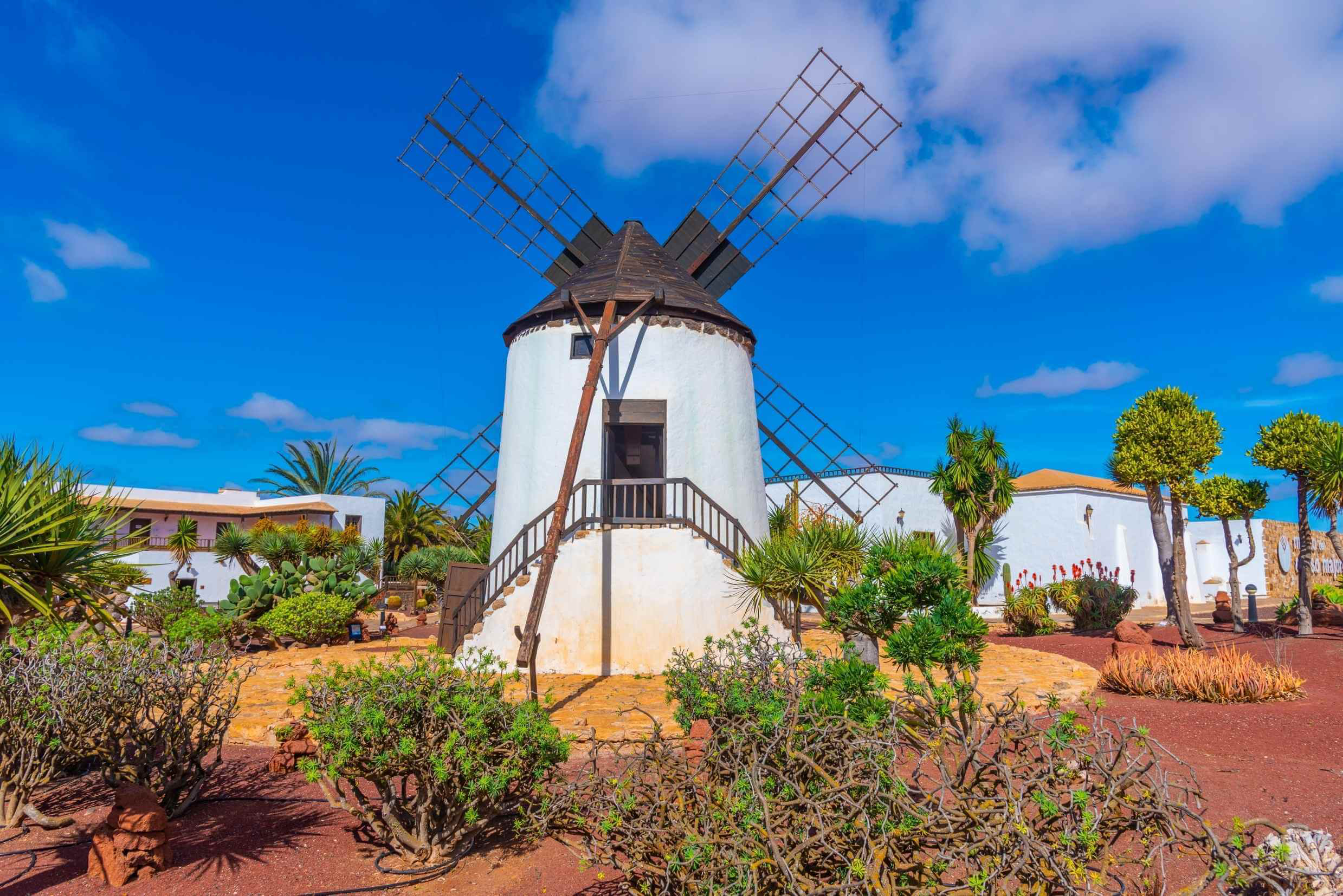 Things to do in Fuerteventura: A white windmill against volcanic setting