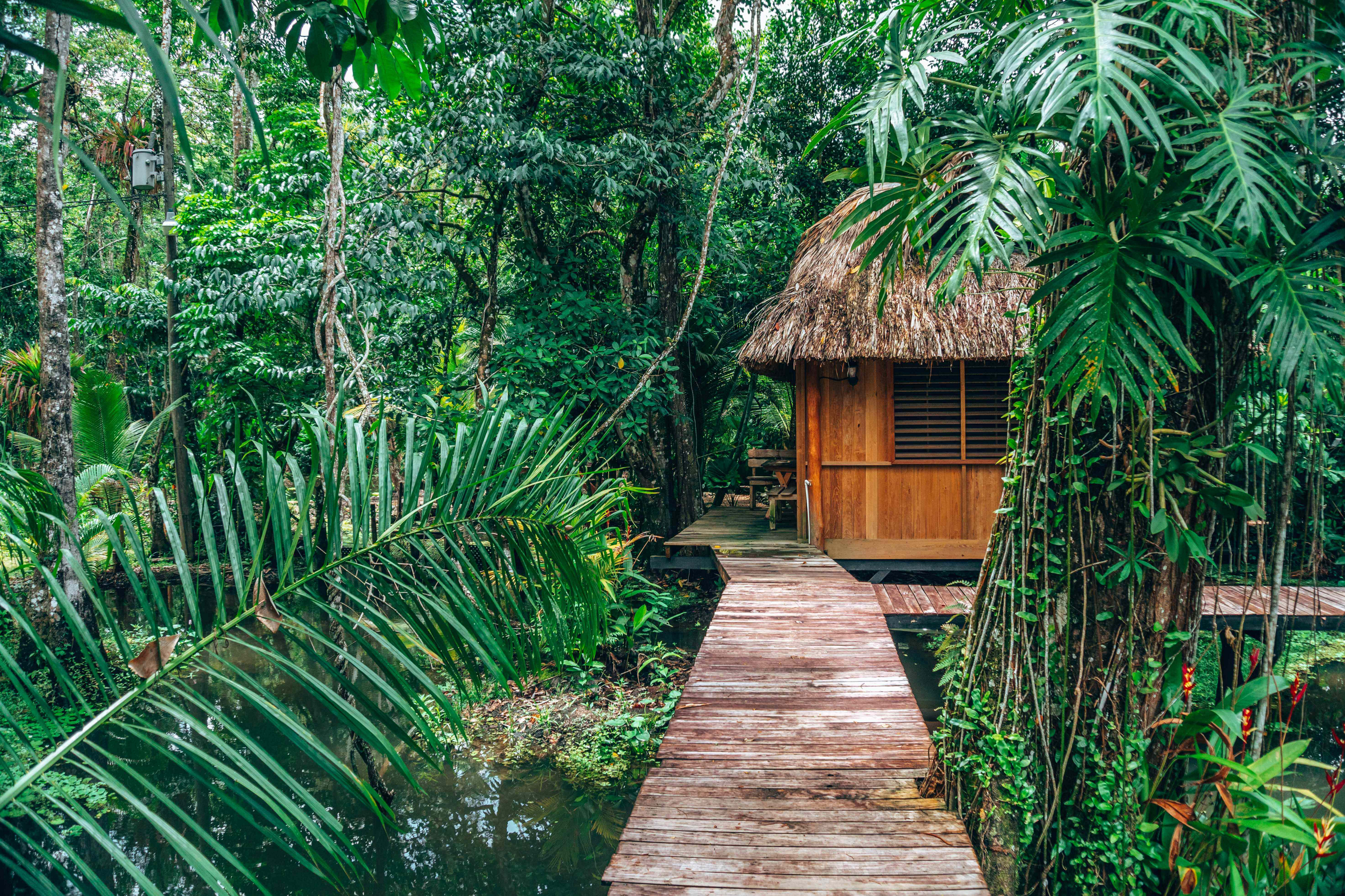 Things to do in Guatemala: A wooden cabin in the jungle