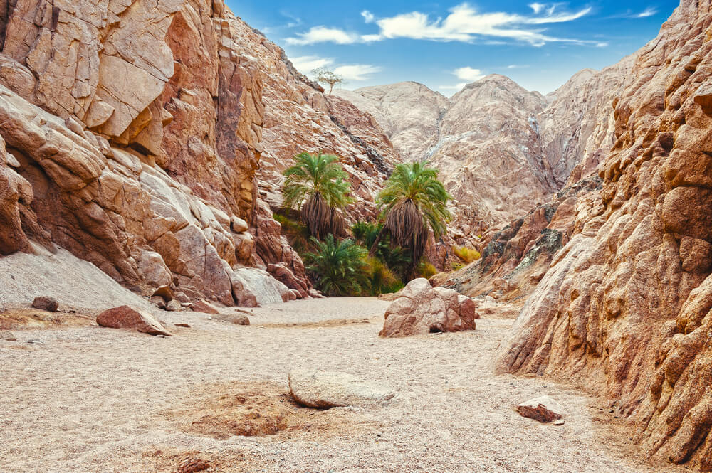 Visit different places in Egypt: A close-up view of the rocky Coloured Canyon
