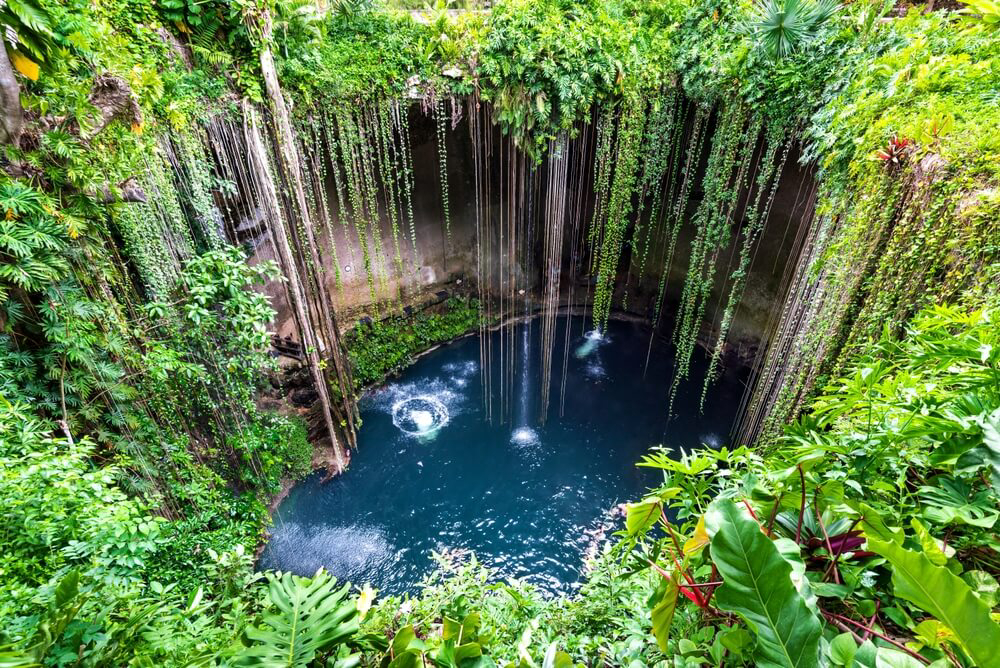  Yucatán Sehenswürdigkeiten: das Cenote Ik-Kil vom oberen Rand aus gesehen.